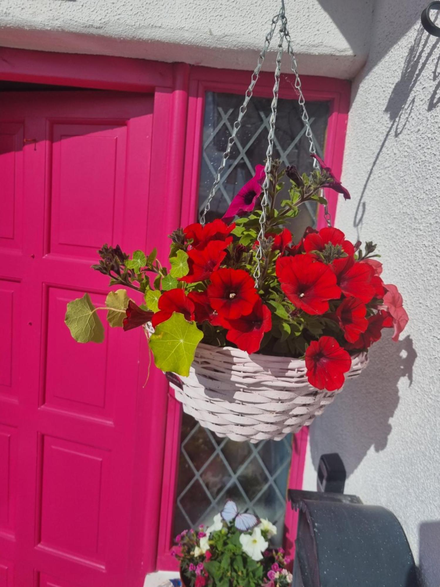 The Pink Door Apartment Killala Luaran gambar
